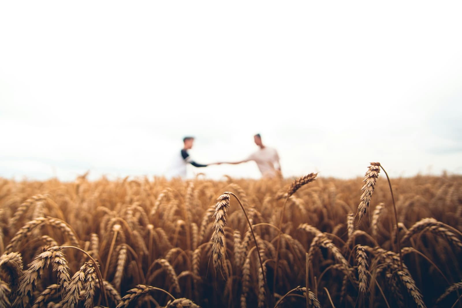 Farm Ease — Organic farming, gone digital.